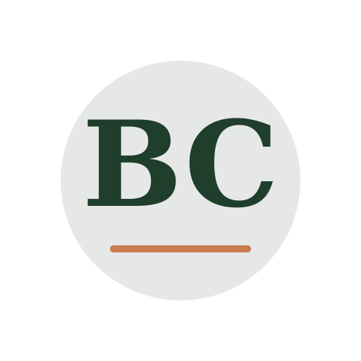 Booth Chimney Repair logo